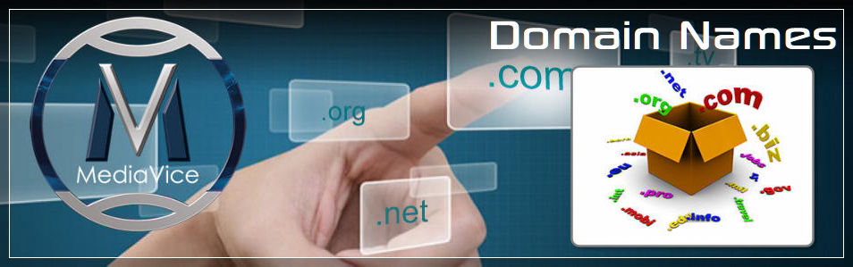 MediaVice Domain Names